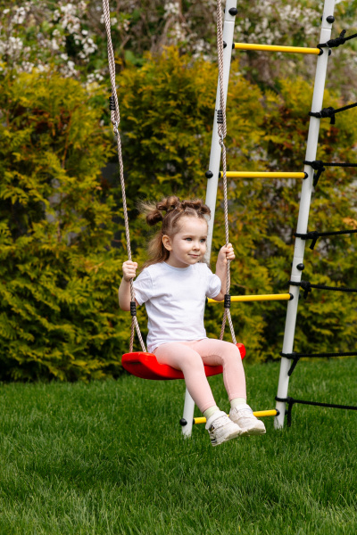 Детский спортивный комплекс для дачи ROMANA Богатырь Плюс 2 в Элисте ВИНКО