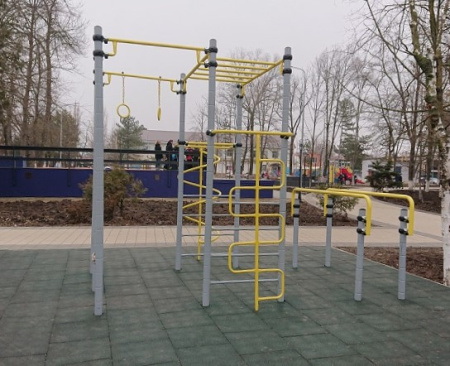 Спортивное оборудование Романа 201.17.00