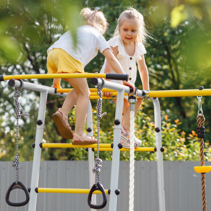 Romana Лесная поляна-3-PRO Детский спортивный комплекс для дачи (Комплект №2) в Элисте ВИНКО