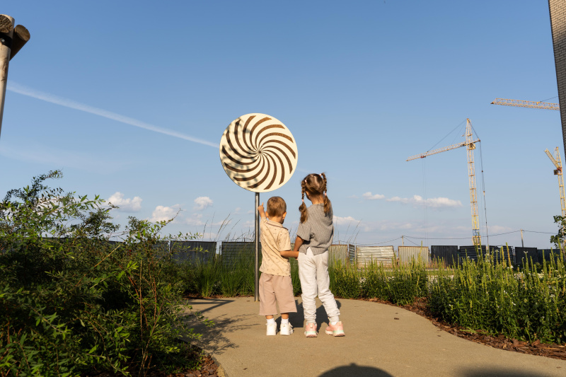 Диск оптических иллюзий ELMAF 314897 в Элисте ВИНКО