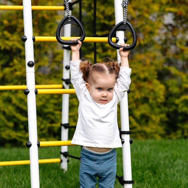 Детский спортивный комплекс для дачи ROMANA Богатырь Плюс 2 в Элисте ВИНКО