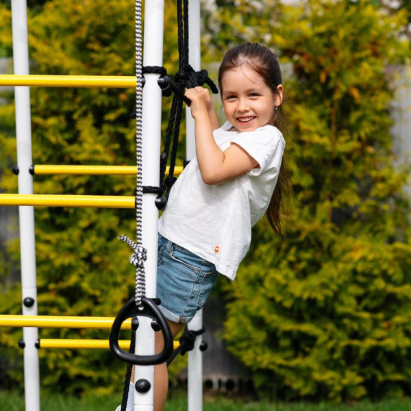 Детский спортивный комплекс для дачи ROMANA Богатырь Плюс 2 MAX в Элисте ВИНКО