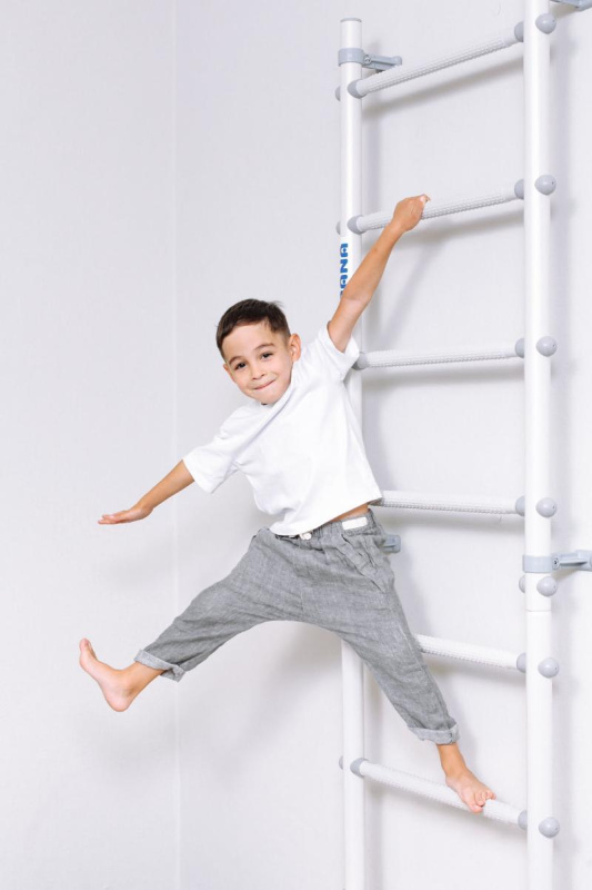 Домашний спортивный комплекс «Шведская стенка ROMANA S11» в Элисте ВИНКО