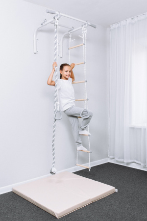 Турник настенный с навесным оборудованием ROMANA T1