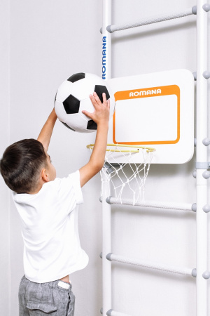 Dop12 Щит баскетбольный ROMANA