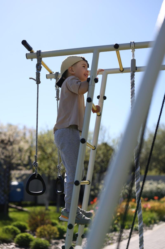 Детский спортивный комплекс для дачи ROMANA Лесная поляна - 3 в Элисте ВИНКО