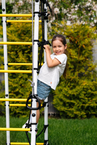 Детский спортивный комплекс для дачи ROMANA Богатырь MAX в Элисте ВИНКО